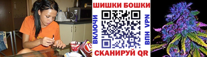 МАРИХУАНА ГИДРОПОН Ессентуки